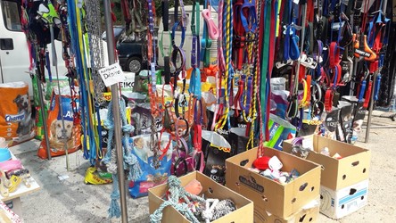 PET SHOP LO DE ESTELA Pet Shop lo de Estela 