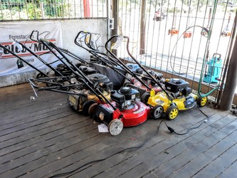 MUNDO VERDE CENTRO JARDINERO 