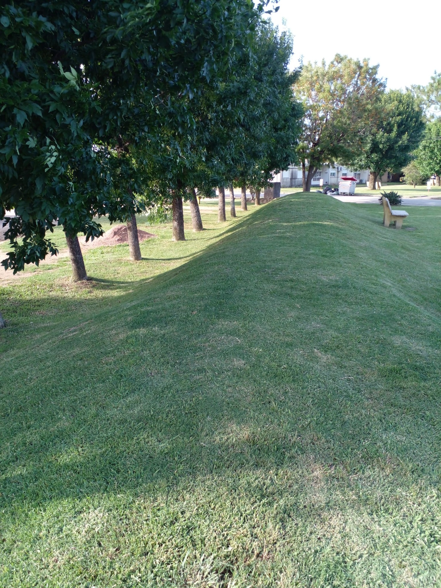 GUSTAVO CORAZA SERVICE  