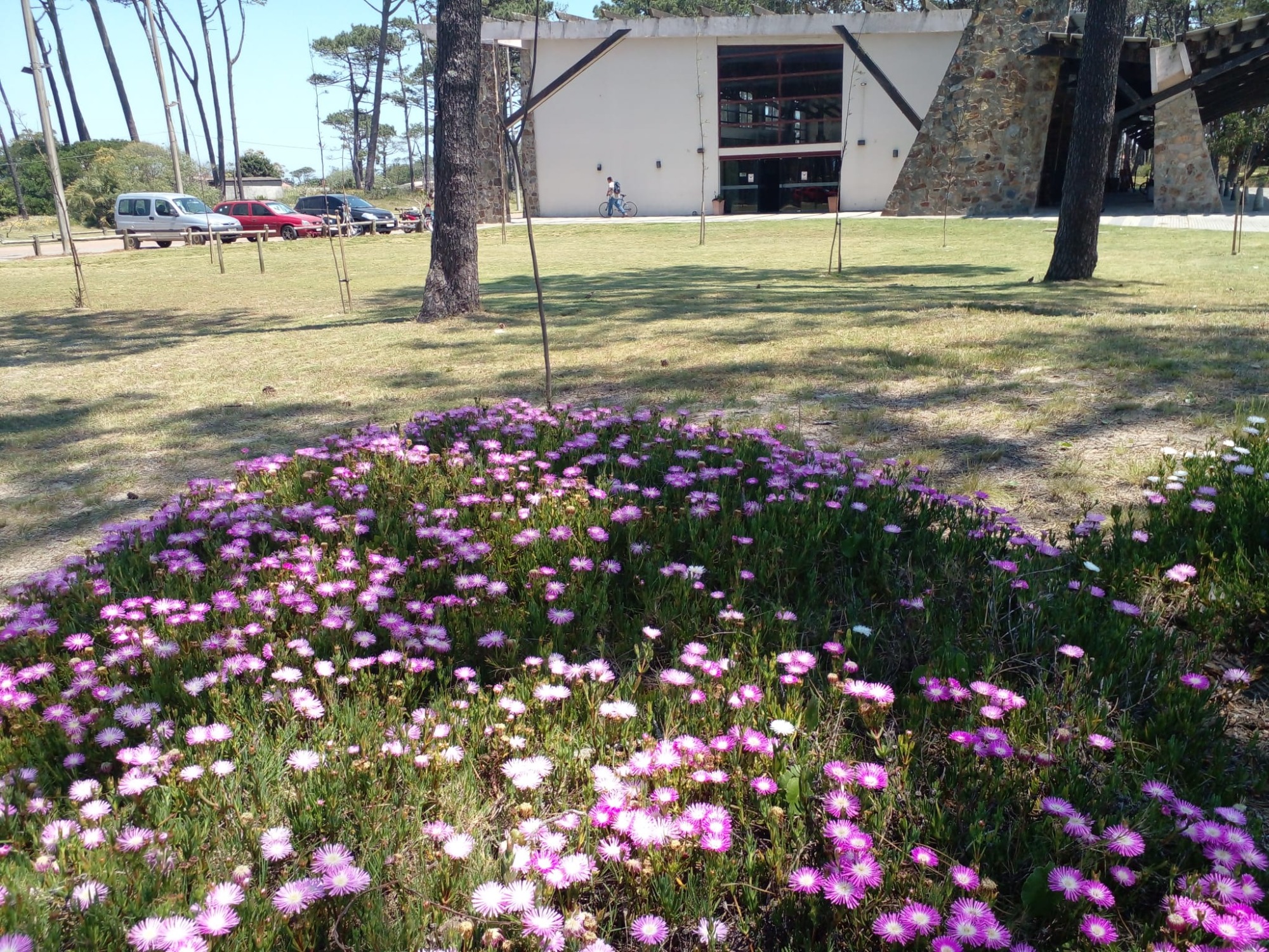 GUSTAVO CORAZA SERVICE  