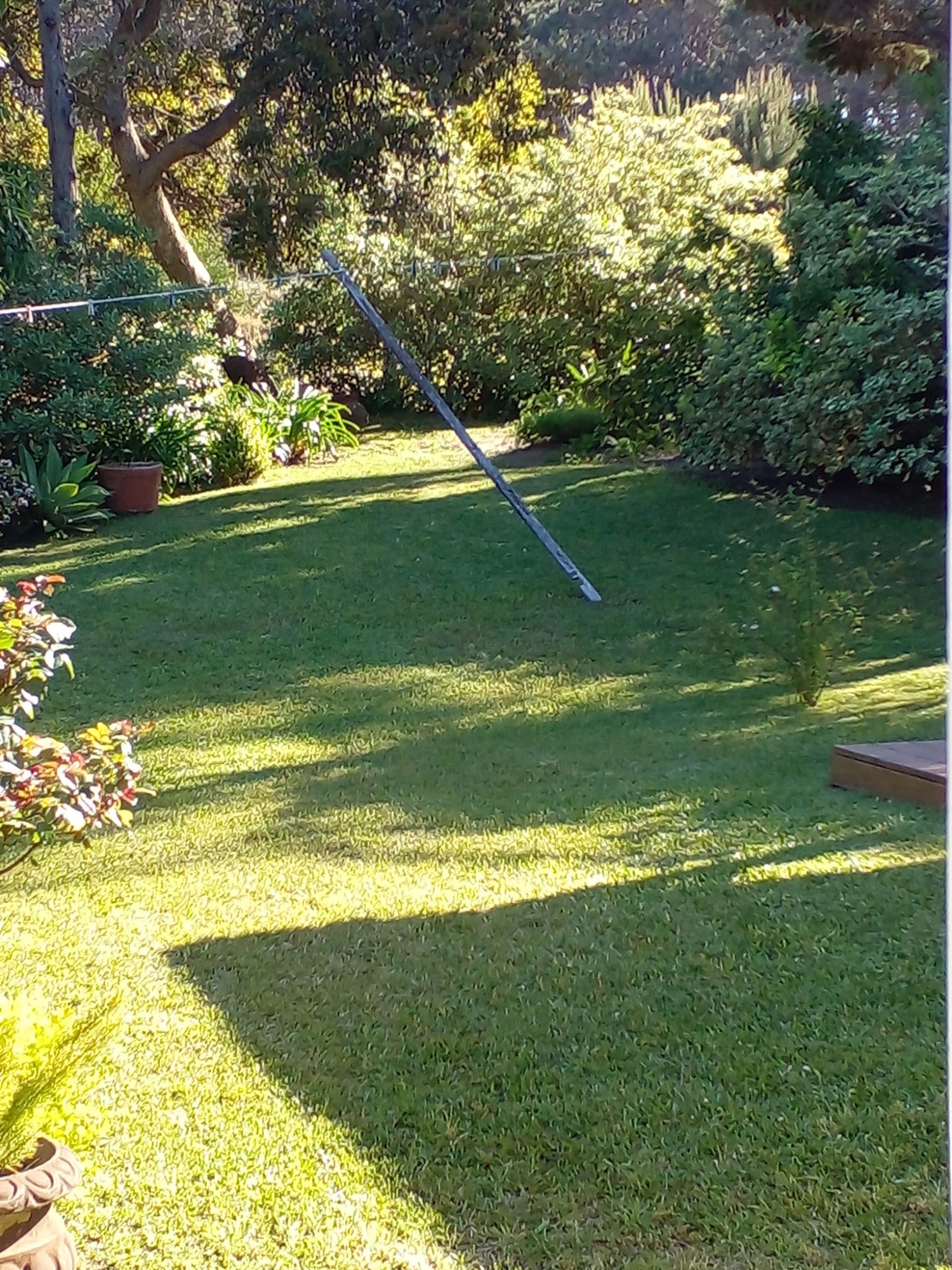 GUSTAVO CORAZA SERVICE  