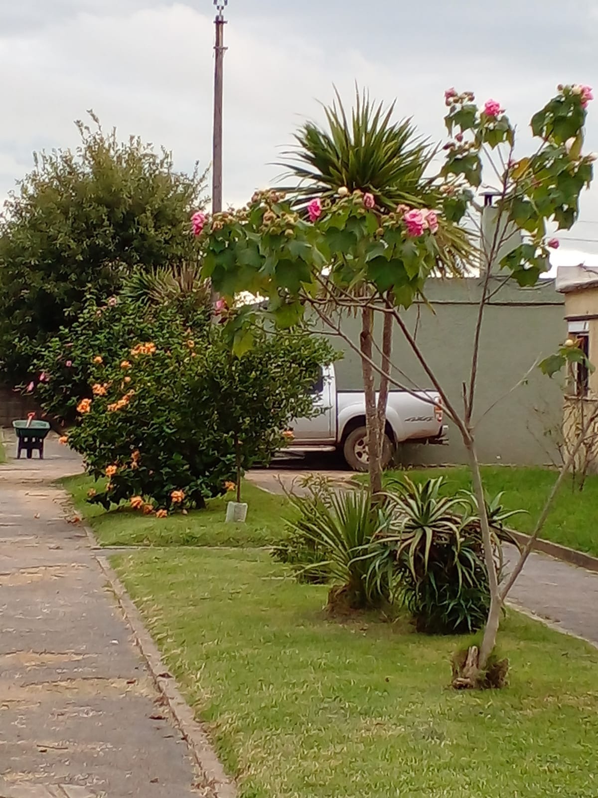 GUSTAVO CORAZA SERVICE  