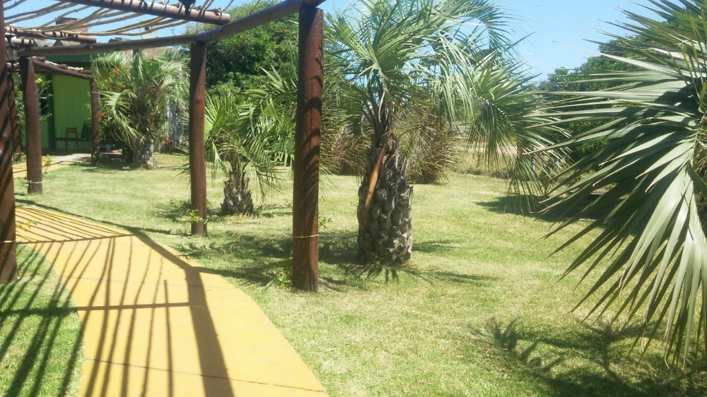 GUSTAVO CORAZA SERVICE  