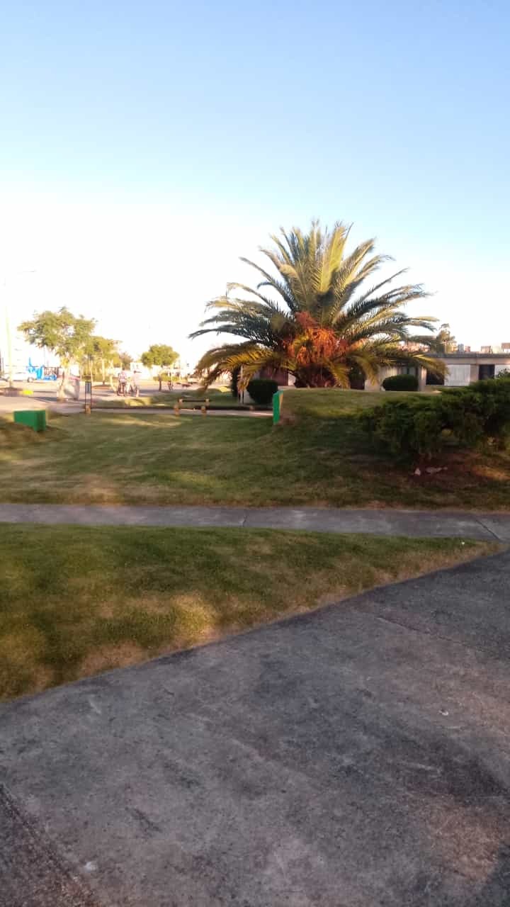 GUSTAVO CORAZA SERVICE  