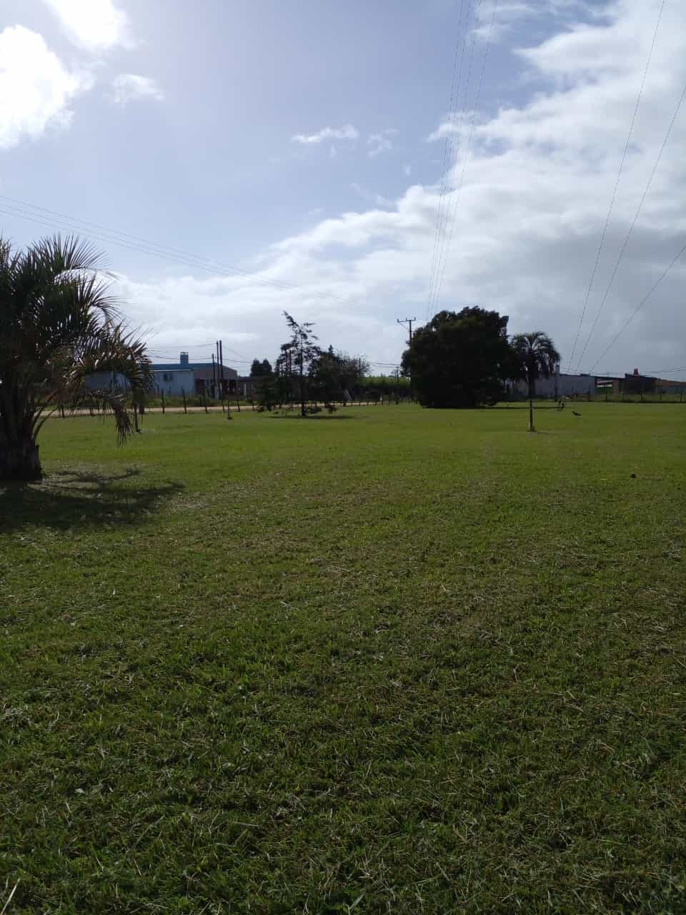 GUSTAVO CORAZA SERVICE  