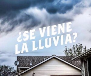 GUSTAVO CORAZA SERVICE 