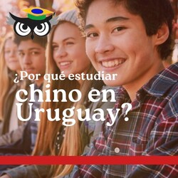 Instituto Eppinghaus APRENDÉ CHINO MANDARÍN