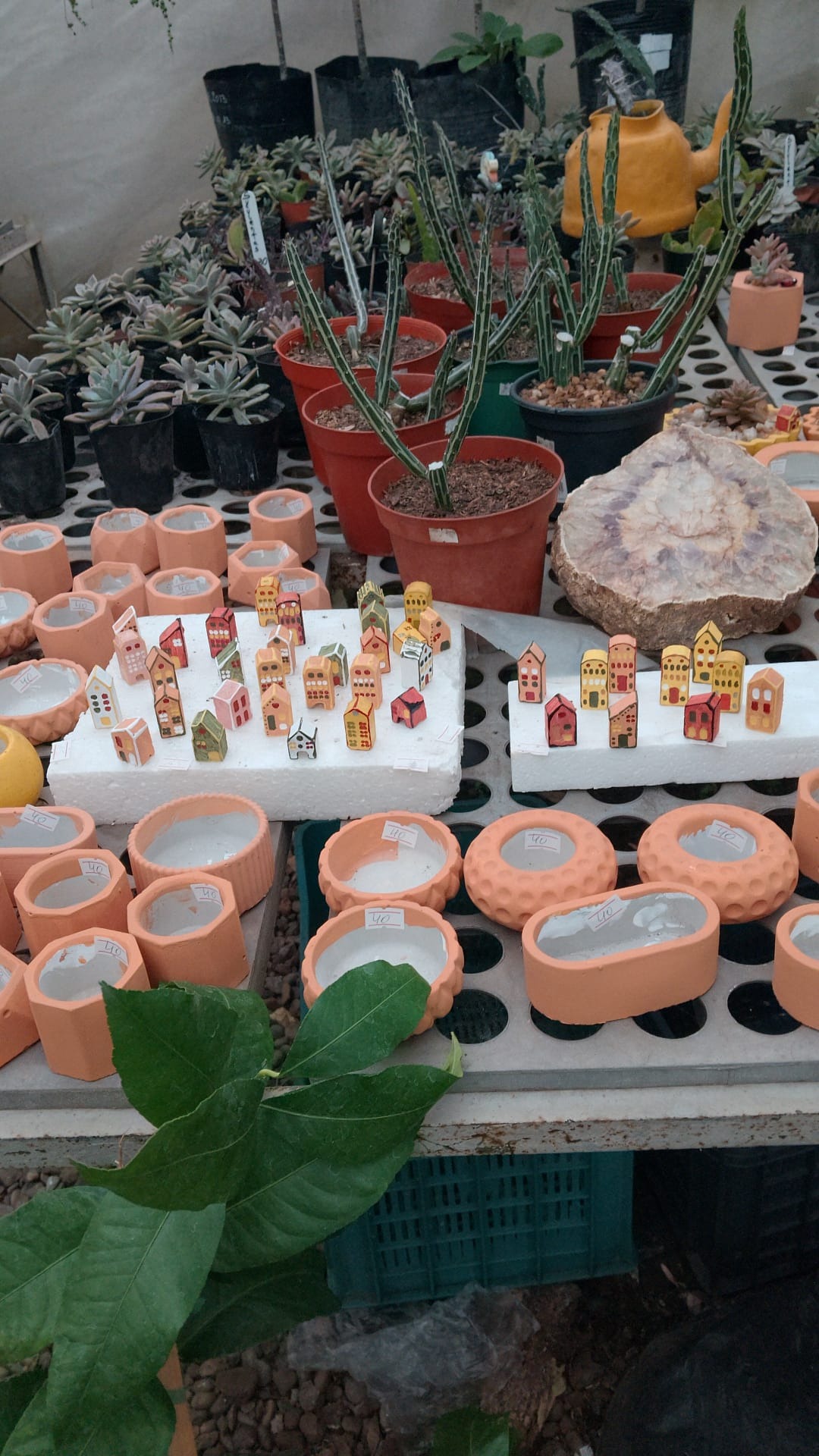 VIVERO LAS ALEGRÍAS  