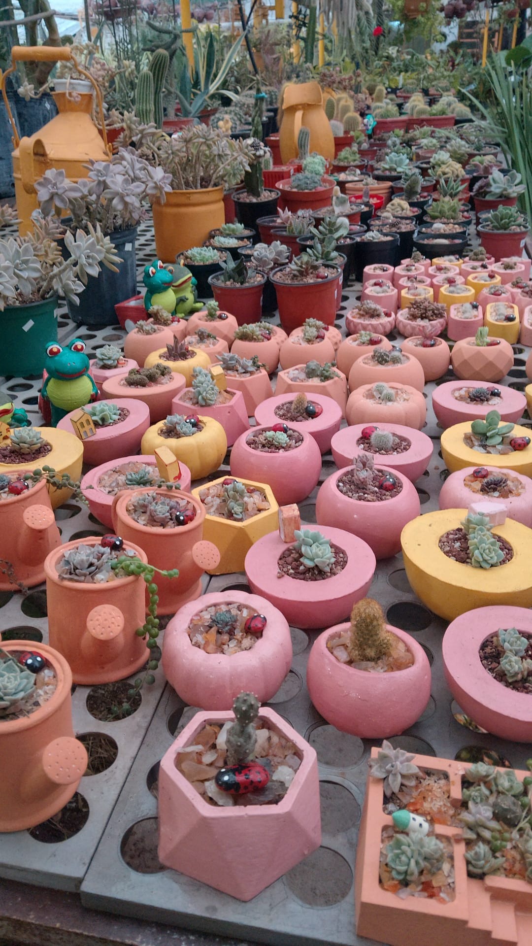 VIVERO LAS ALEGRÍAS  