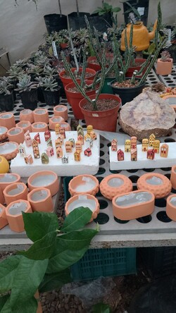 VIVERO LAS ALEGRÍAS 