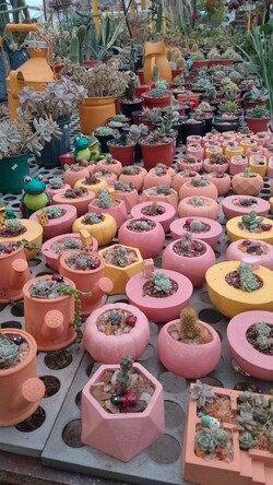 VIVERO LAS ALEGRÍAS 