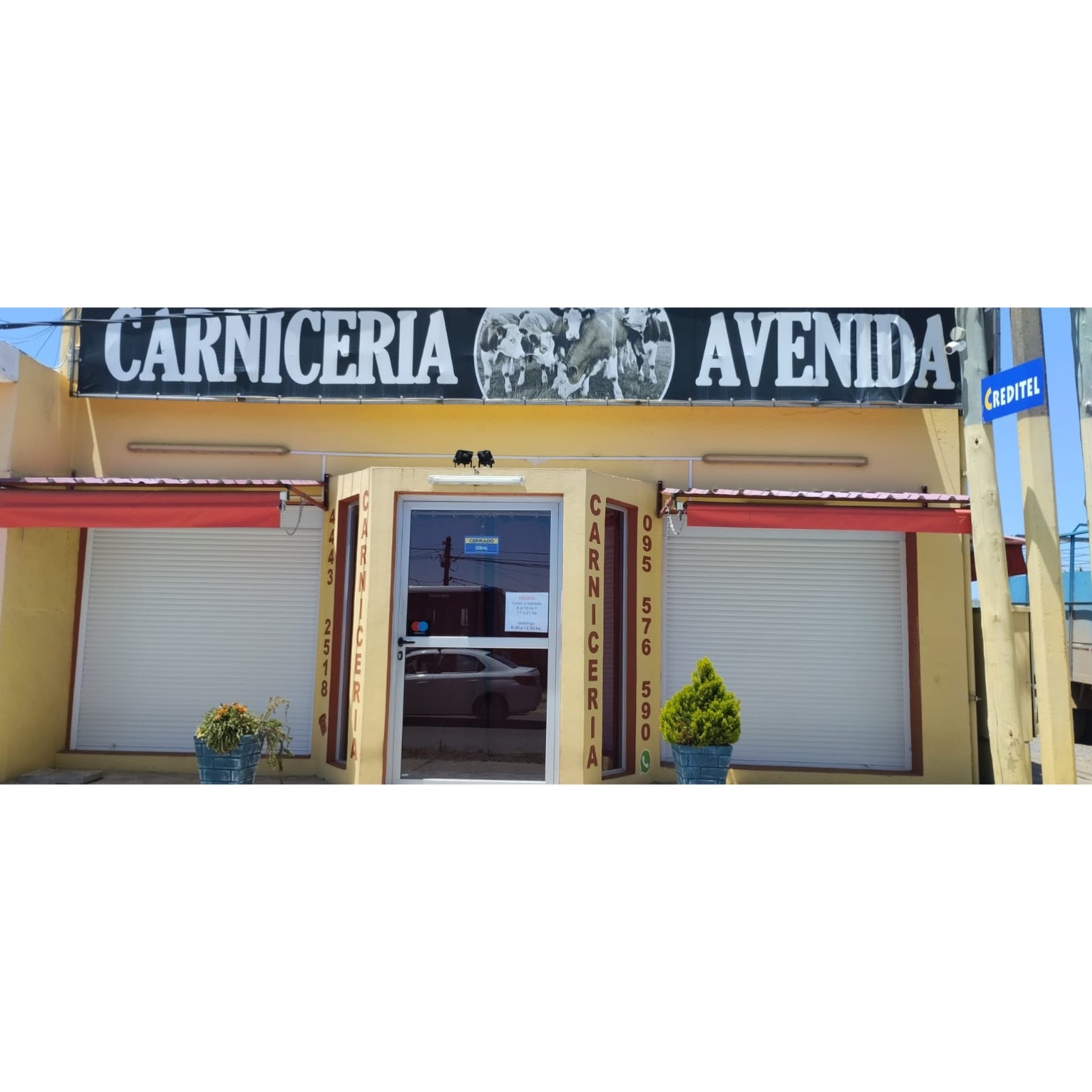 CARNICERÍA AVENIDA  