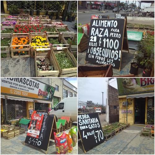 OFERTAS, REGALOS, PROMOCIONES AGROMASCOTAS