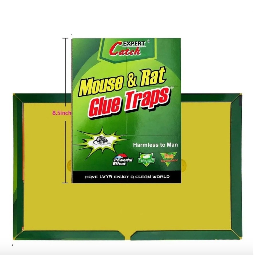 BARRACA TRES HERMANOS CONSTRUYEN  