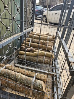 CANAIMA MINIMARKET 24H 