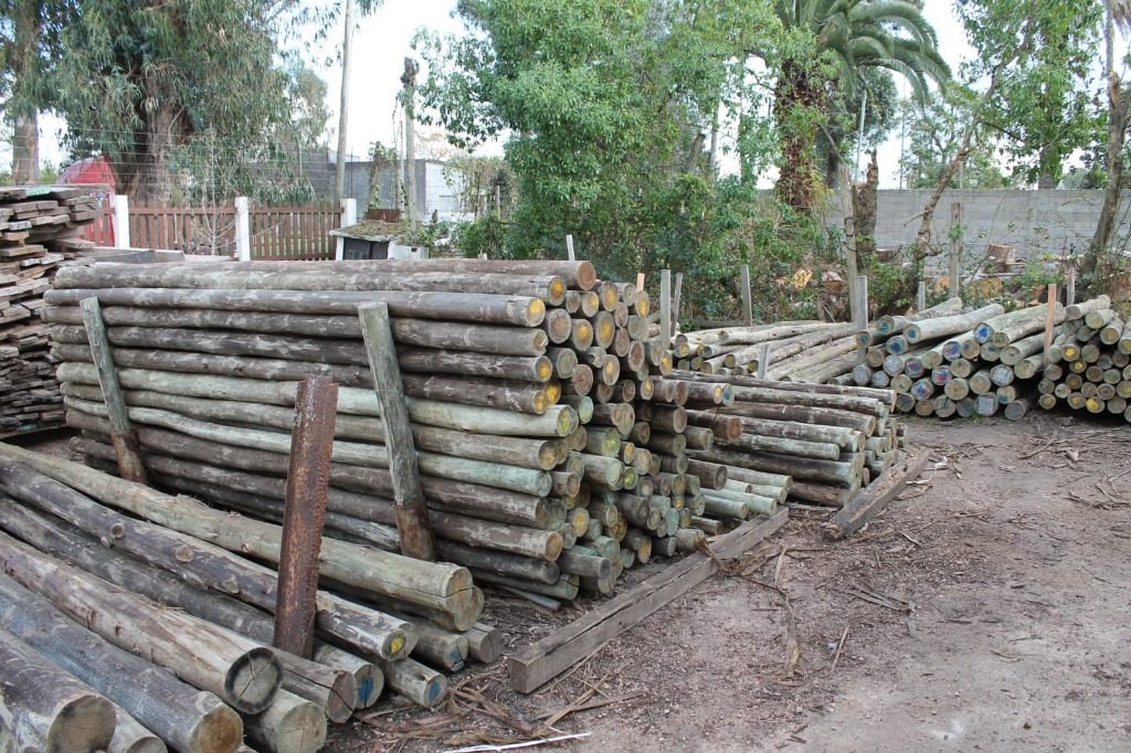 ASERRADERO VILLA COLON  