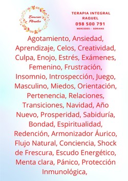 CENTRO INTEGRAL RAQUEL CENTRO INTEGRAL RAQUEL