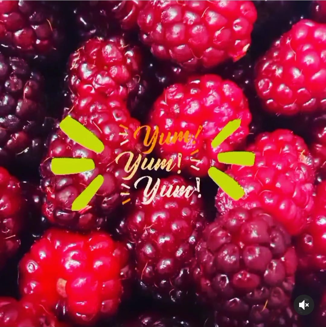 HELADERIA MONTEBIANCO  