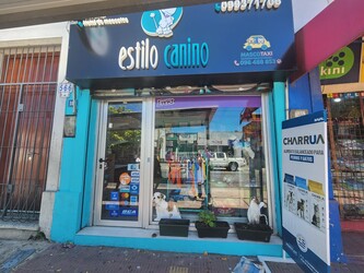Estilo Canino 