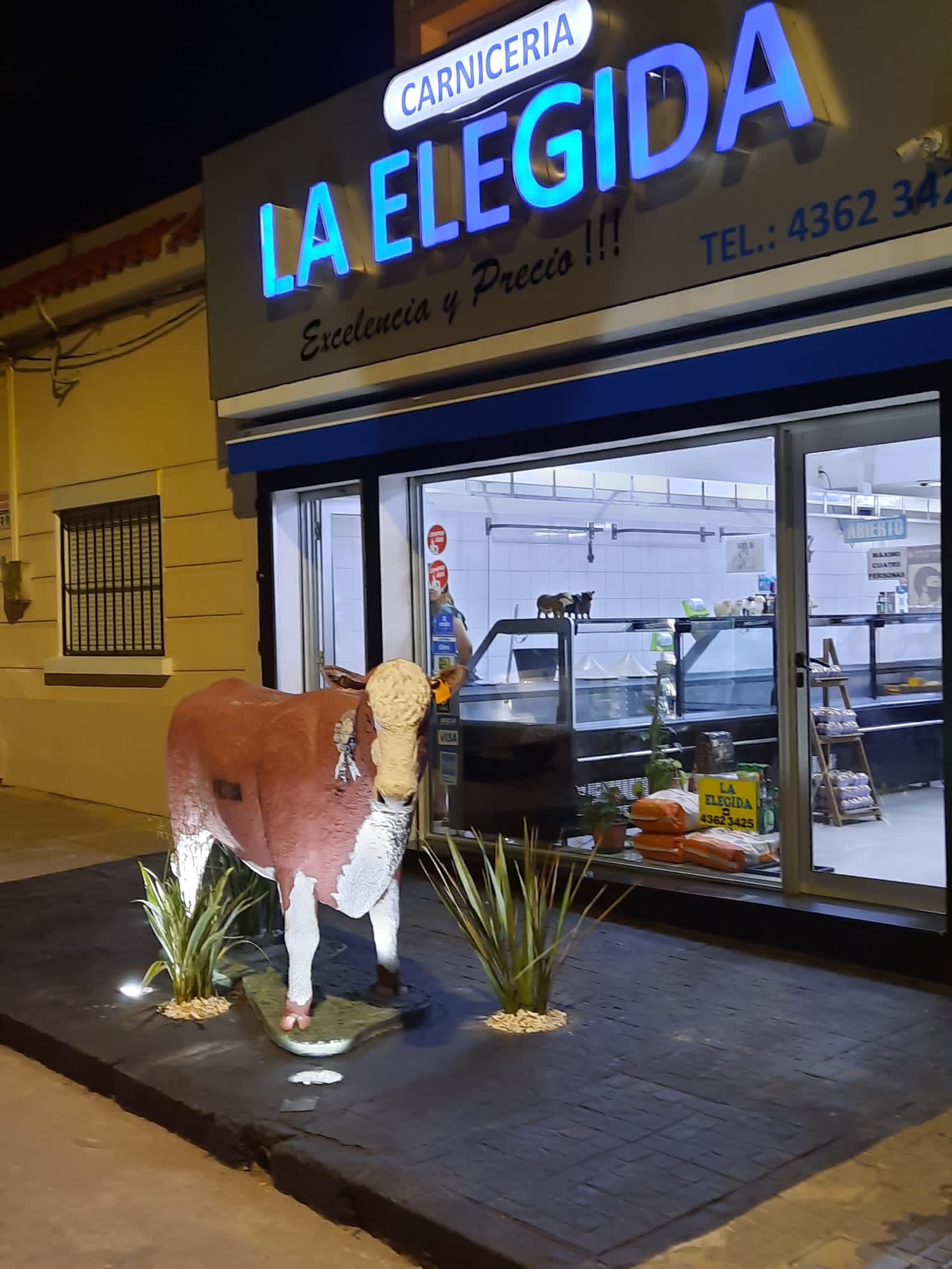 CARNICERIA LA ELEGIDA  