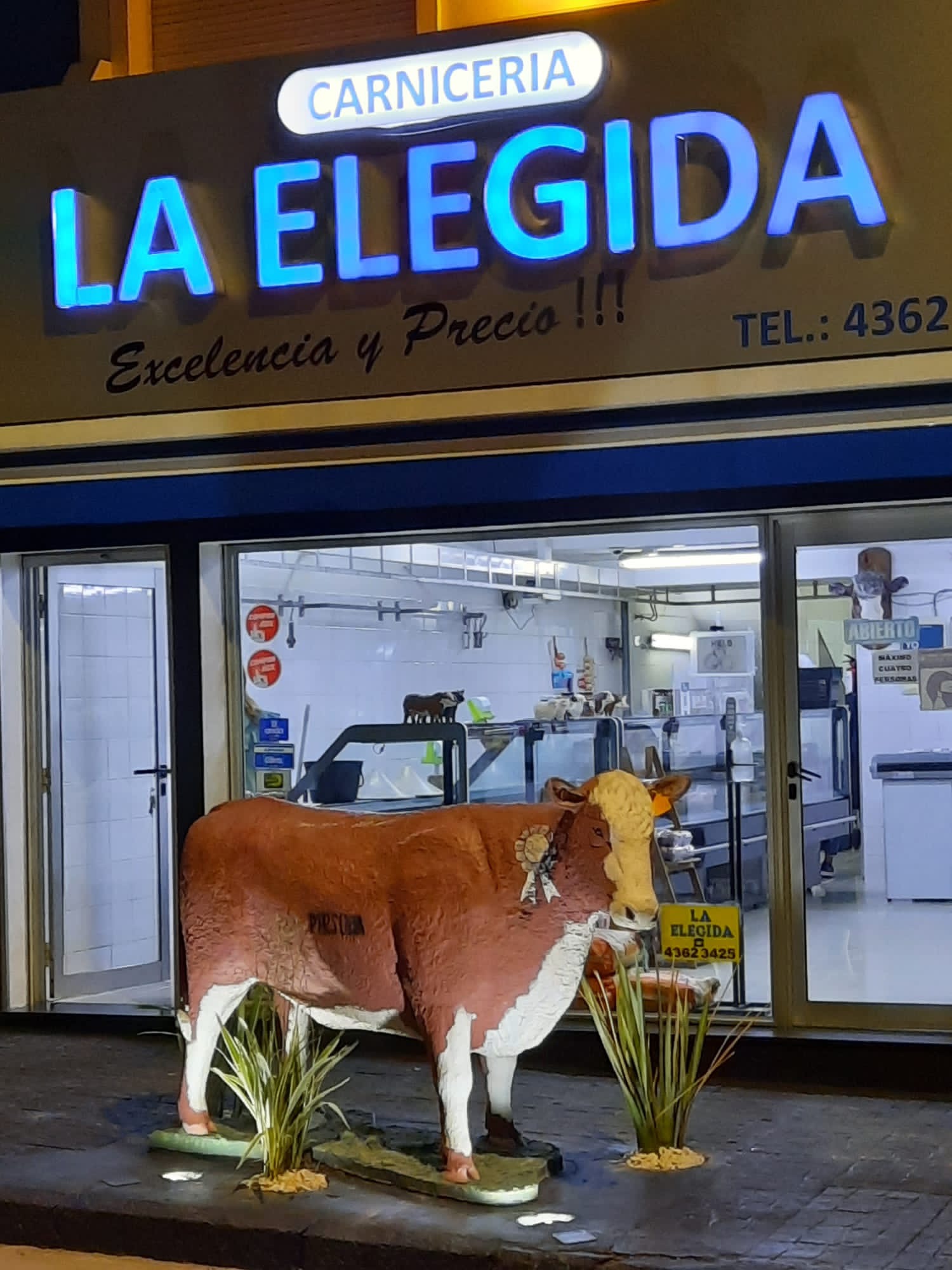 CARNICERIA LA ELEGIDA  