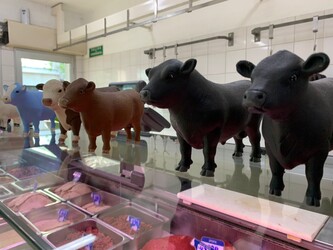 CARNICERIA LA ELEGIDA 