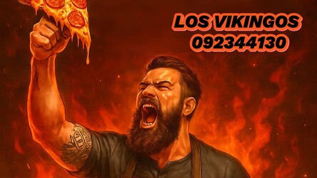 LOS VIKINGOS 