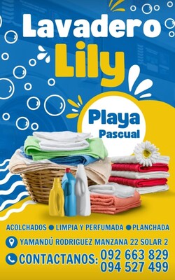 Lavadero Lily 