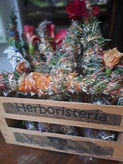 HERBORISTERIA DANZA CON LA NATURALEZA 