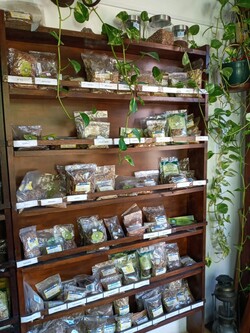 HERBORISTERIA DANZA CON LA NATURALEZA 