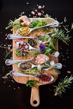 HERBORISTERIA DANZA CON LA NATURALEZA 