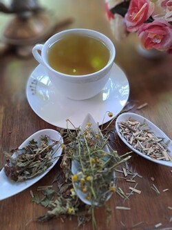 HERBORISTERIA DANZA CON LA NATURALEZA 