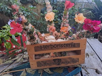 HERBORISTERIA DANZA CON LA NATURALEZA 
