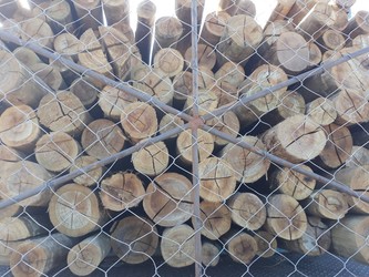 Barraca de Hierro Peteiro 