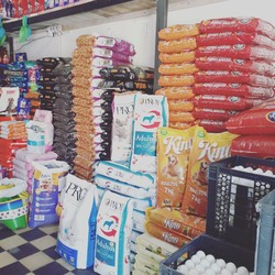 LA ESQUINA DEL HUEVO 