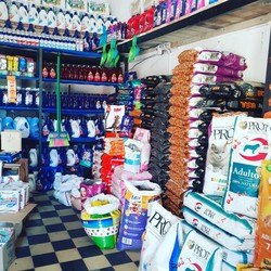 LA ESQUINA DEL HUEVO 