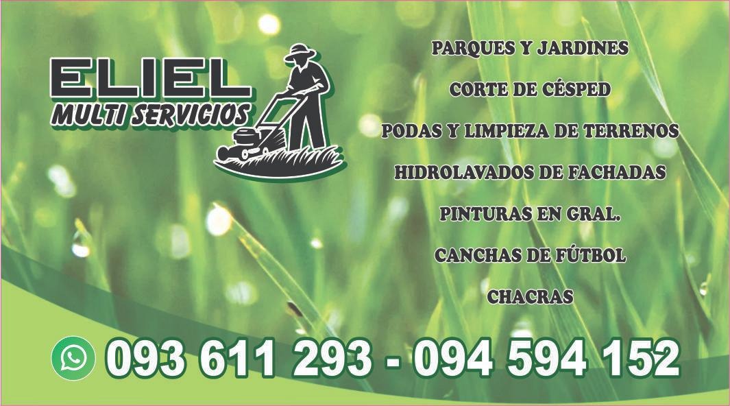 Eliel Multi Servicios  