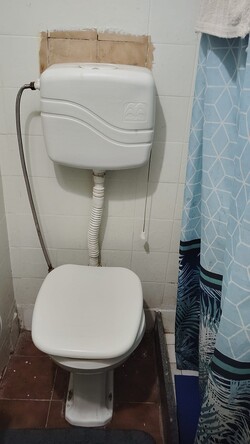 Servicios Sanitarios W 