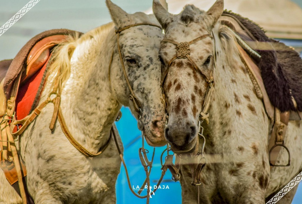 LA RODAJA FOTOGRAFÍA  
