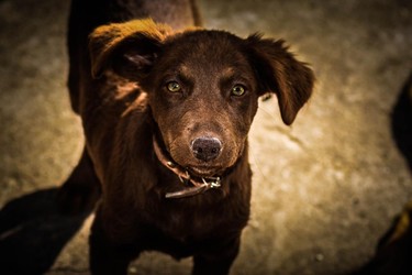 LA RODAJA FOTOGRAFÍA 