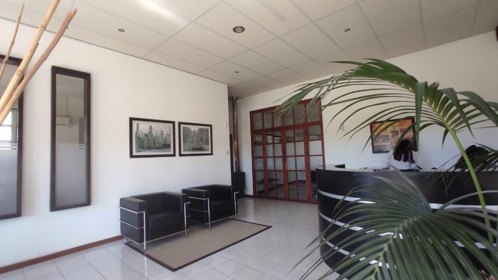 ESCRITORIO DELLA MEA  