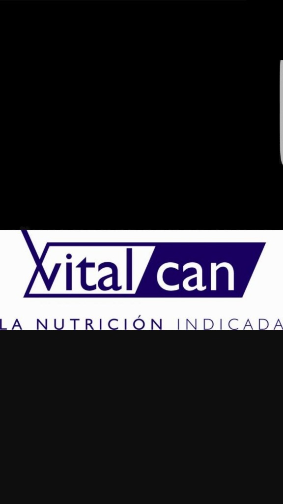 ENTRE PERROS Y GATOS  