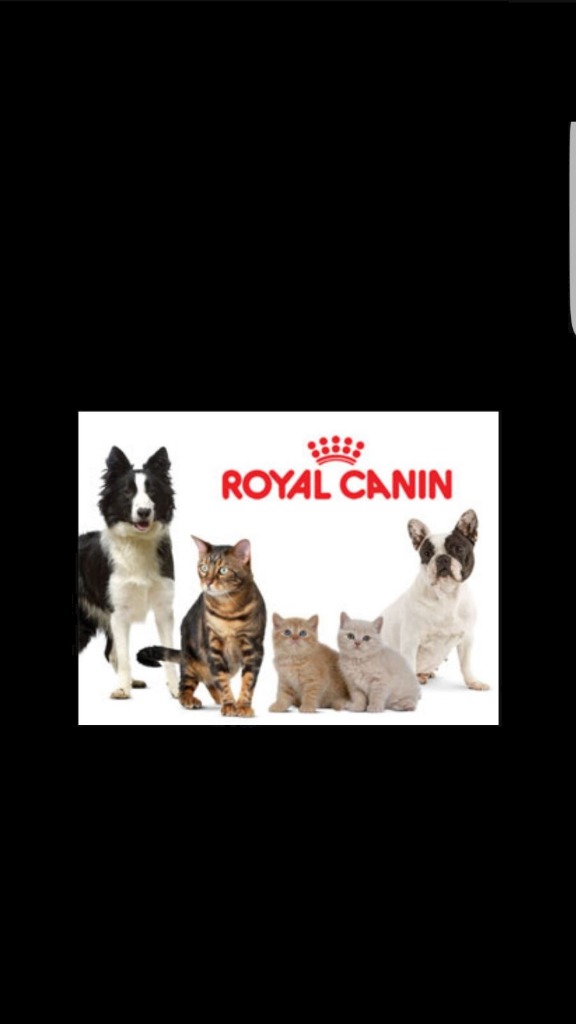 ENTRE PERROS Y GATOS  