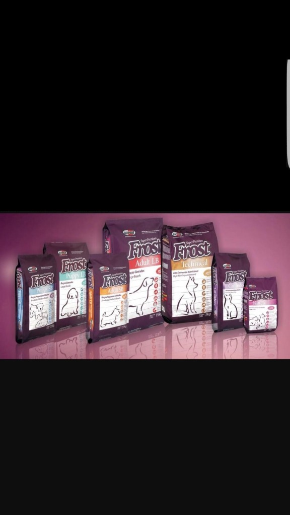 ENTRE PERROS Y GATOS  