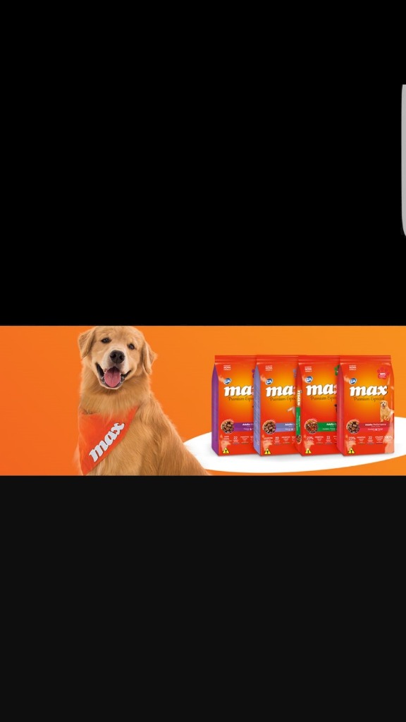 ENTRE PERROS Y GATOS  