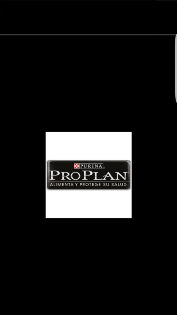 ENTRE PERROS Y GATOS  