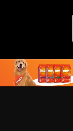 ENTRE PERROS Y GATOS 