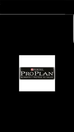 ENTRE PERROS Y GATOS 