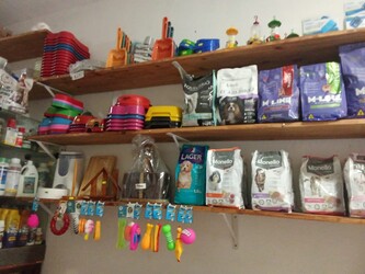 Agropecuaria Damián 