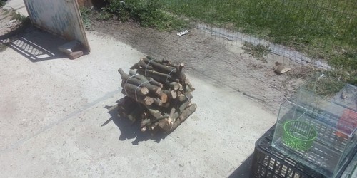 Agropecuaria Damián 